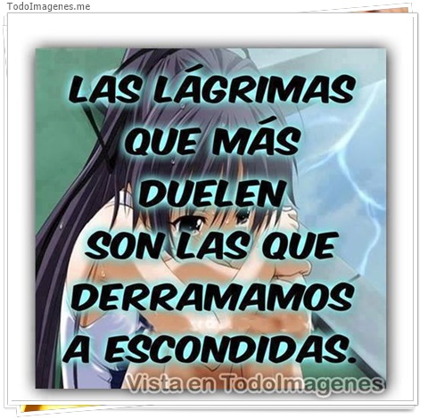 imagen de 10581-20160302-034611