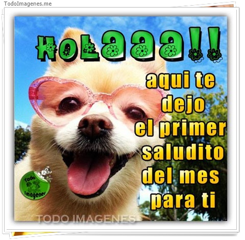 imagen de 5728-20160302-034111
