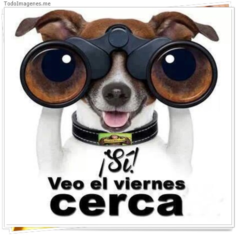 imagen de 8114-20160302-034318