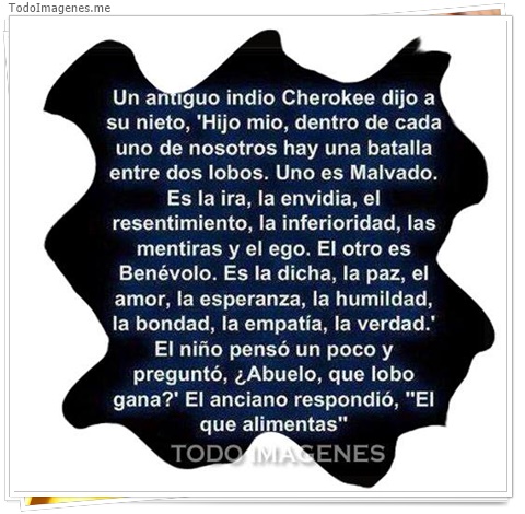 imagen de 7763-20160302-034255