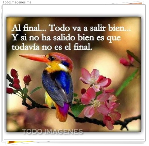 imagen de 7810-20160302-034258