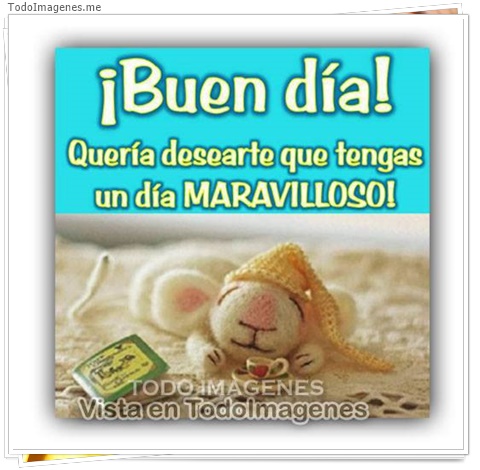 imagen de 11154-20160302-034651