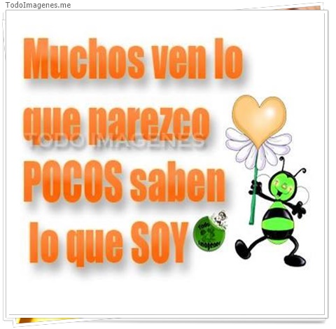 imagen de 7727-20160302-034253
