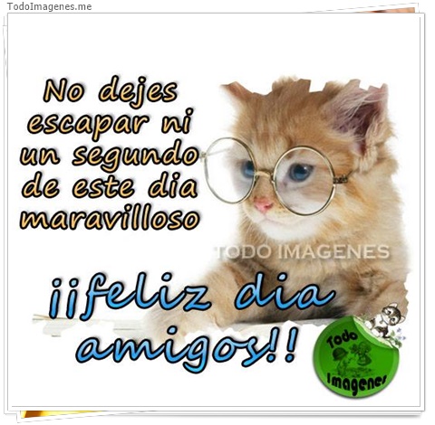 imagen de 5853-20160302-034117