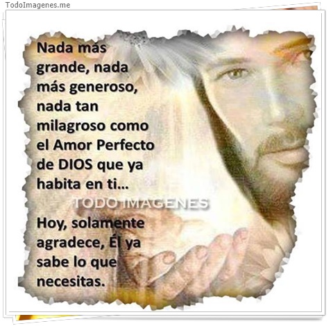 imagen de 2631-20160302-033850