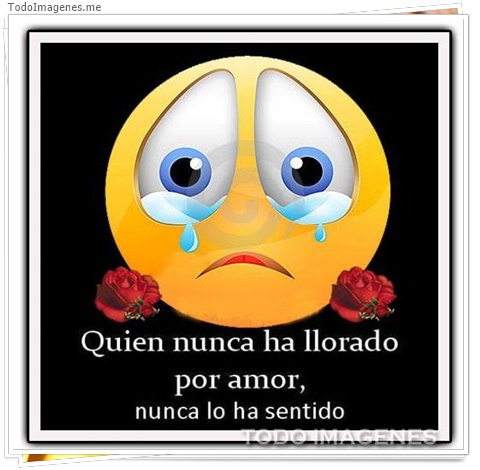 imagen de 5329-20160302-034053
