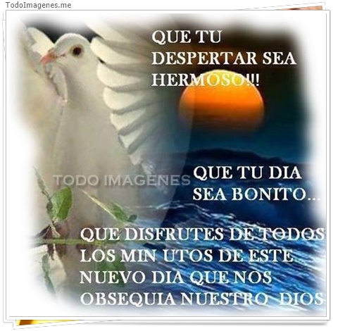 imagen de 2832-20160302-033900
