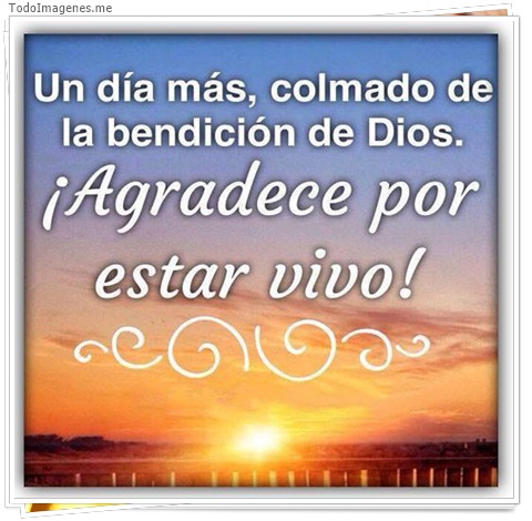 imagen de 3236-20160302-033919