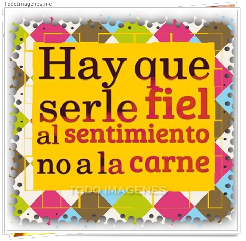 imagen de 6591-20160302-034151