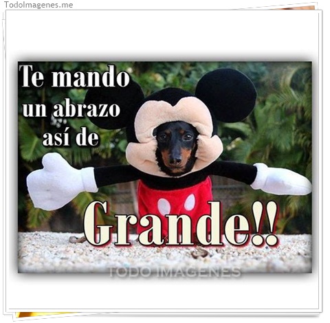 imagen de 195-20160810-120256