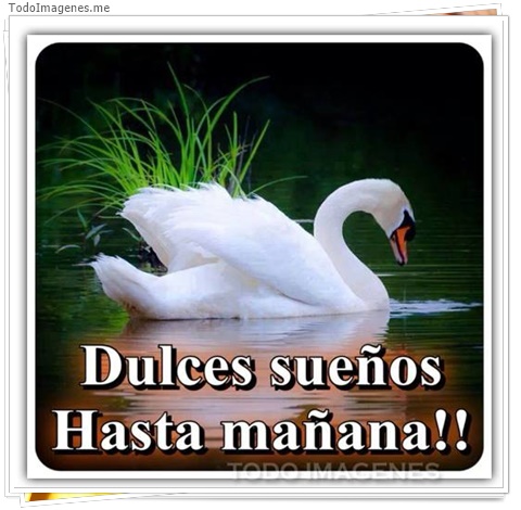 imagen de 9265-20160302-034434