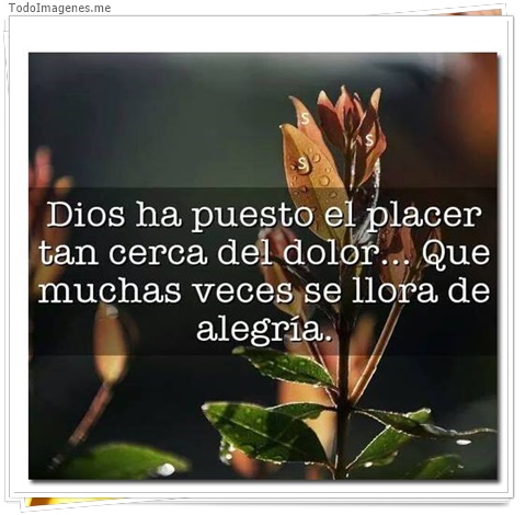 imagen de 1498-20160302-033800