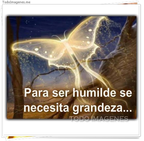 imagen de 7311-20160302-034228