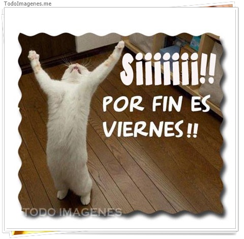 imagen de 7649-20160302-034248