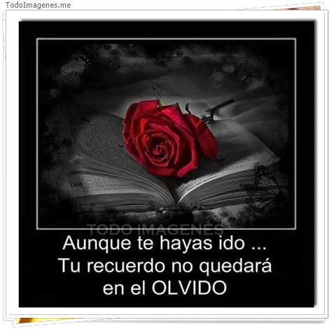 imagen de 4012-20160302-033954