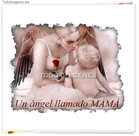 imagen de 7369-20160302-034231