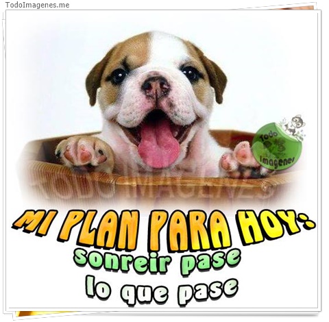 imagen de 1731-20160302-033810