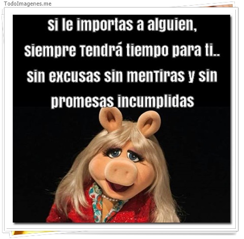 imagen de 2990-20160302-033908