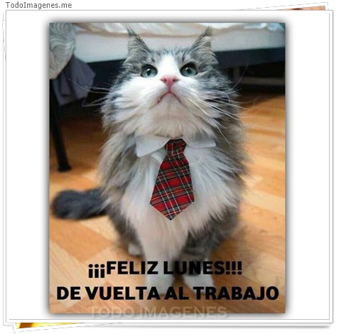 imagen de 7451-20160302-034236