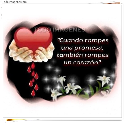 imagen de 6983-20160302-034210