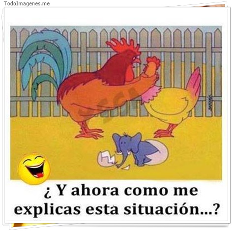 imagen de 5140-20160302-034045