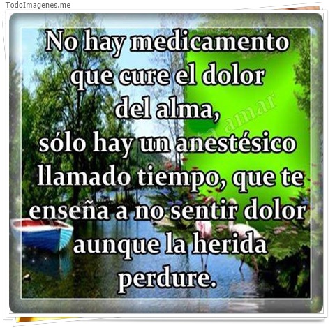 imagen de 314-20160302-033705