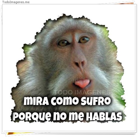 imagen de 8964-20160302-034416