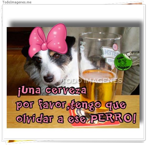 imagen de 6052-20160302-034125