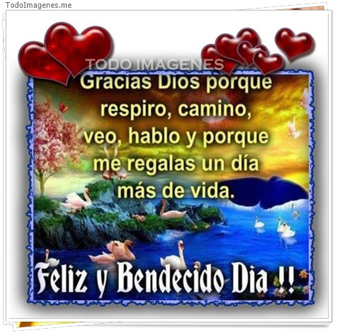 imagen de 3408-20160302-033926