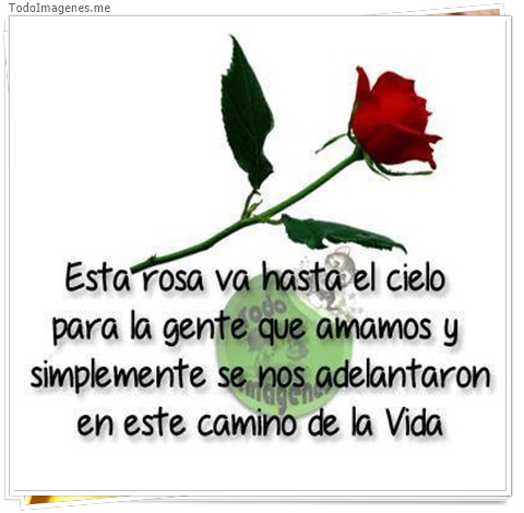 imagen de 7473-20160302-034238