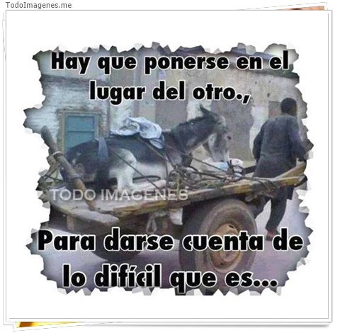 imagen de 7724-20160302-034253