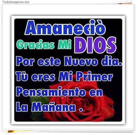imagen de 3527-20160302-033933