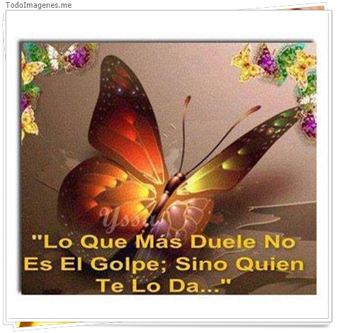 imagen de 9698-20160302-034504