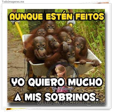 imagen de 10275-20160302-034549
