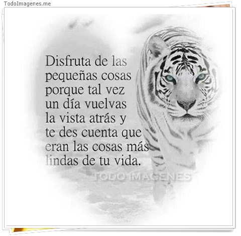 imagen de 7941-20160302-034306