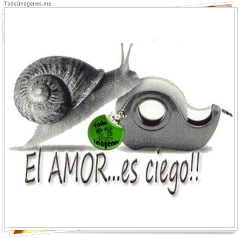 imagen de 8347-20160302-034335