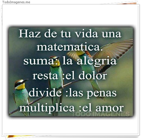 imagen de 2363-20160302-033839