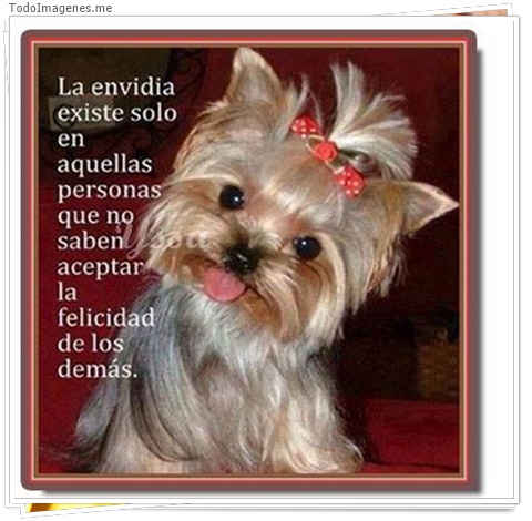 imagen de 7397-20160302-034233