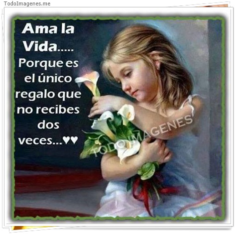 imagen de 4322-20160302-034008