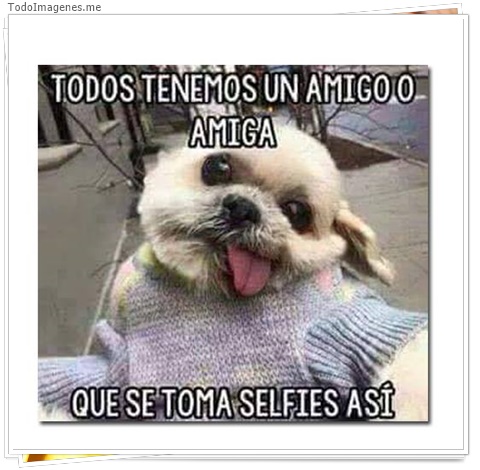 imagen de 4571-20160302-034018