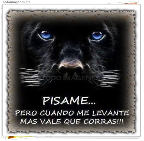 imagen de 6675-20160302-034155