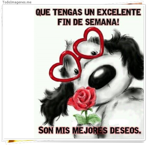 imagen de 3482-20160302-033931