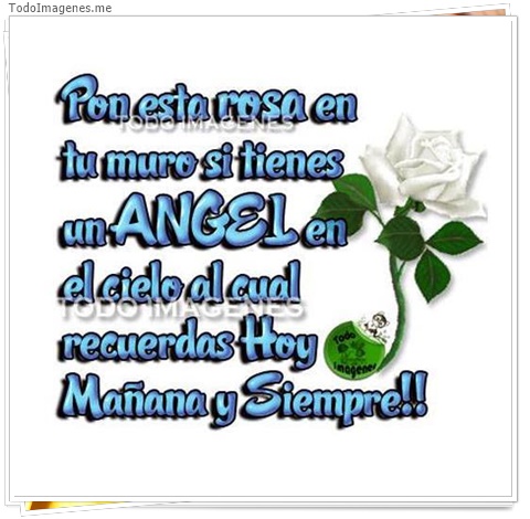 imagen de 7420-20160302-034234