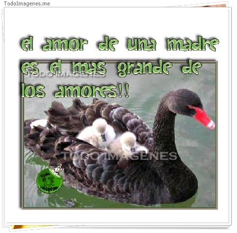 imagen de 223-20160509-130727