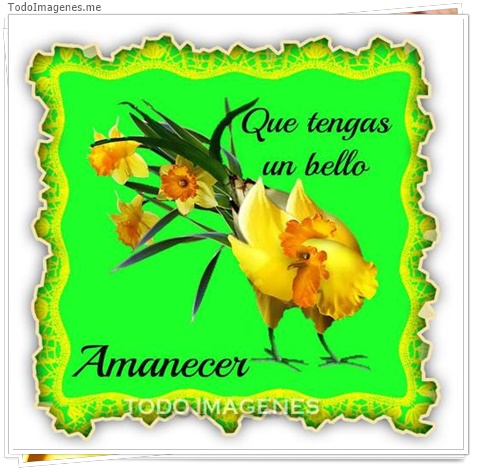 imagen de 7087-20160302-034216