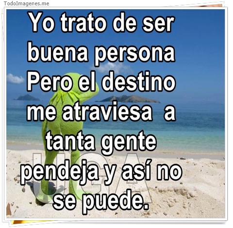 imagen de 4231-20160302-034004