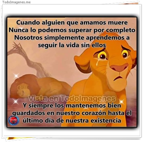 imagen de 11353-20160302-034704