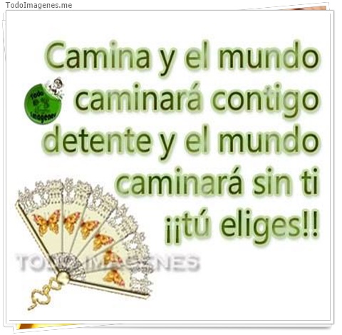 imagen de 8980-20160302-034416