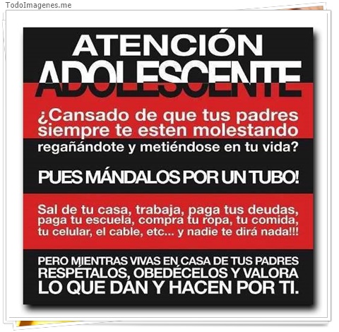 imagen de 5924-20160302-034120