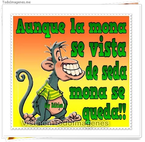 imagen de 11030-20160302-034643